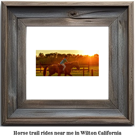horse trail rides near me in Wilton, California